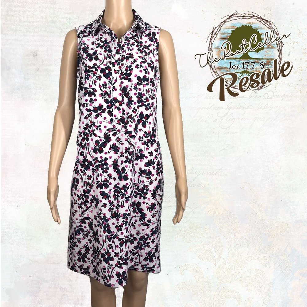 Banana Republic Size 4 Dress